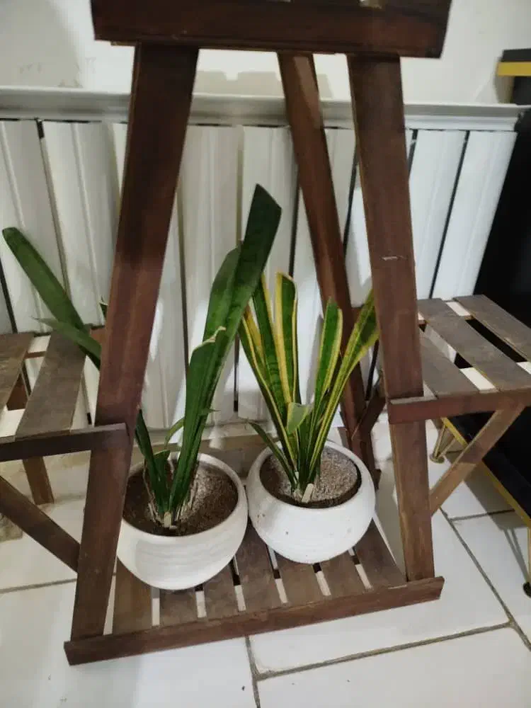 دوعدد گلدون و تنگ ماهی واستند با گلدون|ماهی|پرند, فاز ۶|دیوار