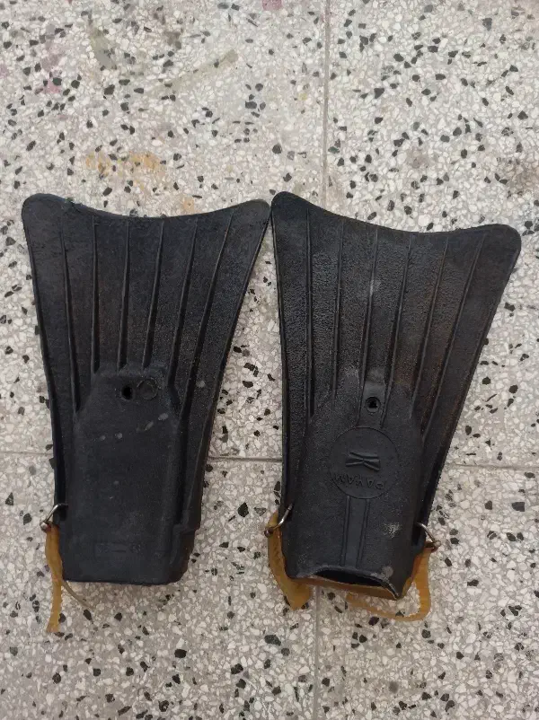 فین شنا و غواصی|غواصی و ورزش‌های آبی|گرگان, |دیوار