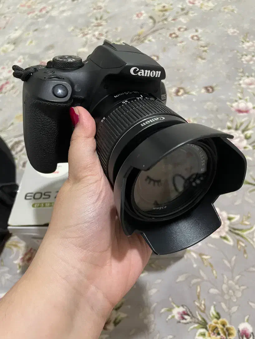 دوربین کنون|دوربین عکاسی و فیلم‌برداری|قم, شهر قائم|دیوار