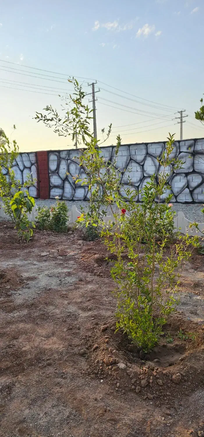 باغچه ۲۵۰ متری سند تک برگ|فروش زمین و ملک کلنگی|تهران, یافت آباد جنوبی|دیوار