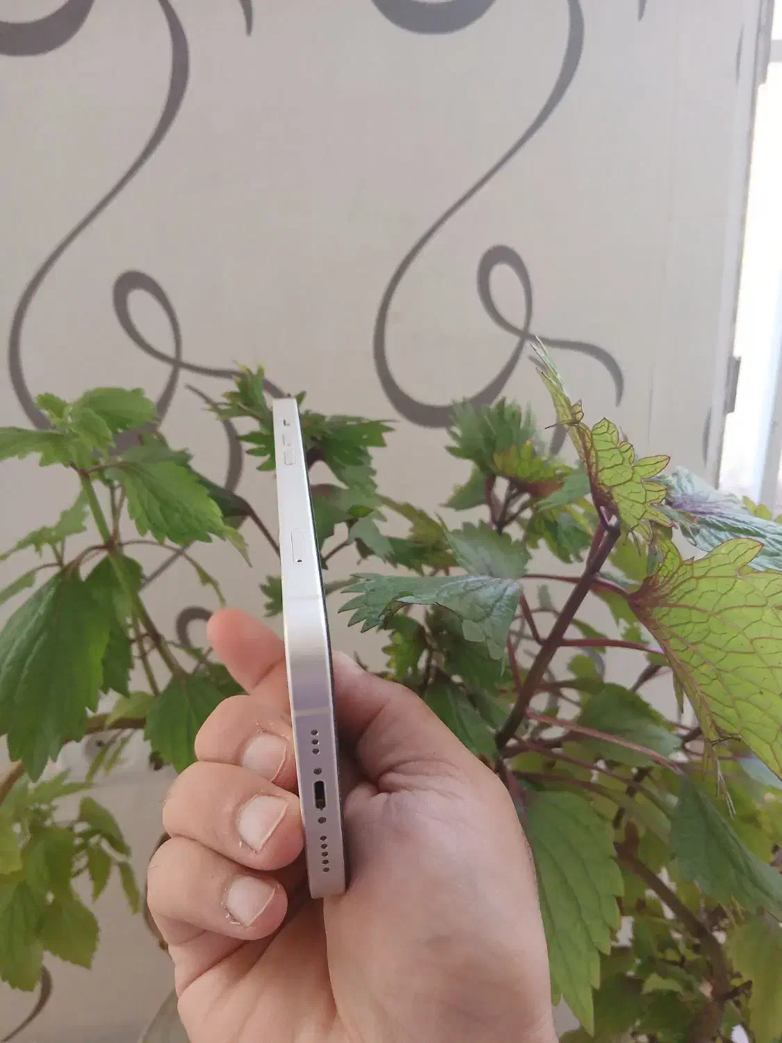 آیفون ۱۳ سفید در حد نو بدون خط|موبایل|حمیدیا, |دیوار