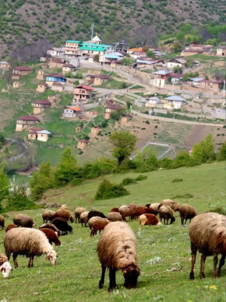 فروش زمین / روستای پالند|فروش زمین و ملک کلنگی|آلاشت, |دیوار