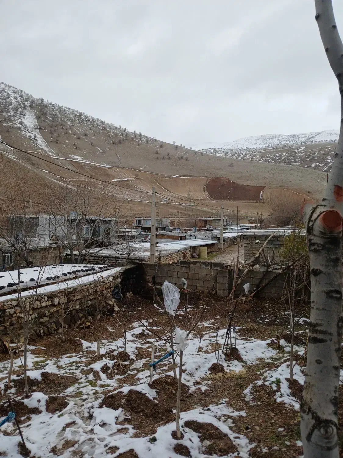 زمین|لوازم التحریر|جوانرود, |دیوار