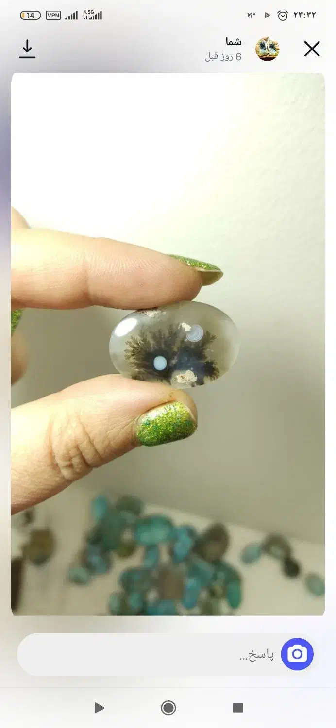 شجر قائن شجر تک درخت شجر مشکی|جواهرات|خمینیشهر, |دیوار