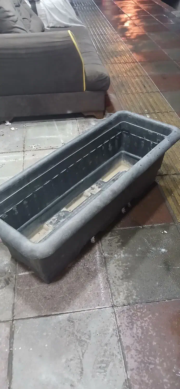 گلدان پلاستیک|گل و گیاه طبیعی|هشتگرد, هشتگرد قدیم|دیوار