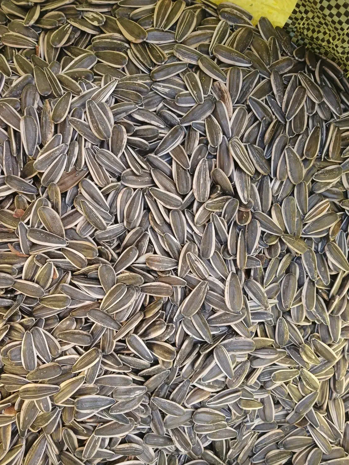 توم کانادایی|خوردنی و آشامیدنی|حسین آباد, |دیوار