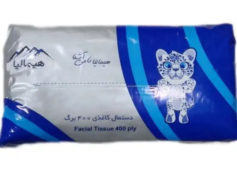 دستمال کاغذی اقتصادی|مواد شوینده و دستمال کاغذی|خسروشاه, |دیوار