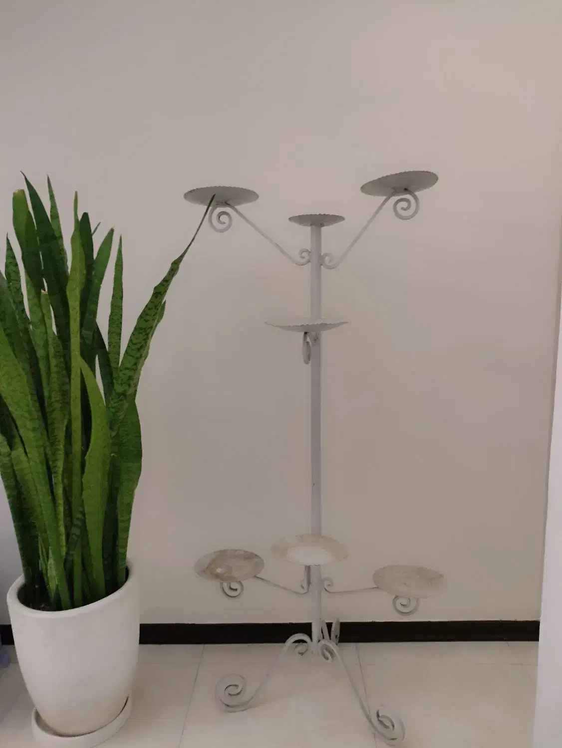 فرفوژه گلدان گل|گل و گیاه طبیعی|فردیس, قریشی|دیوار