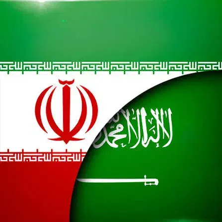 ترجمه تخصصی عربی به فارسی و فارسی به عربی|خدمات پیشه و مهارت|تهران, فلسطین (میدان انقلاب)|دیوار