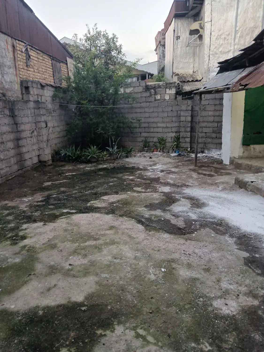 ویلایی دربست|اجارهٔ خانه و ویلا|رشت, آب و برق|دیوار