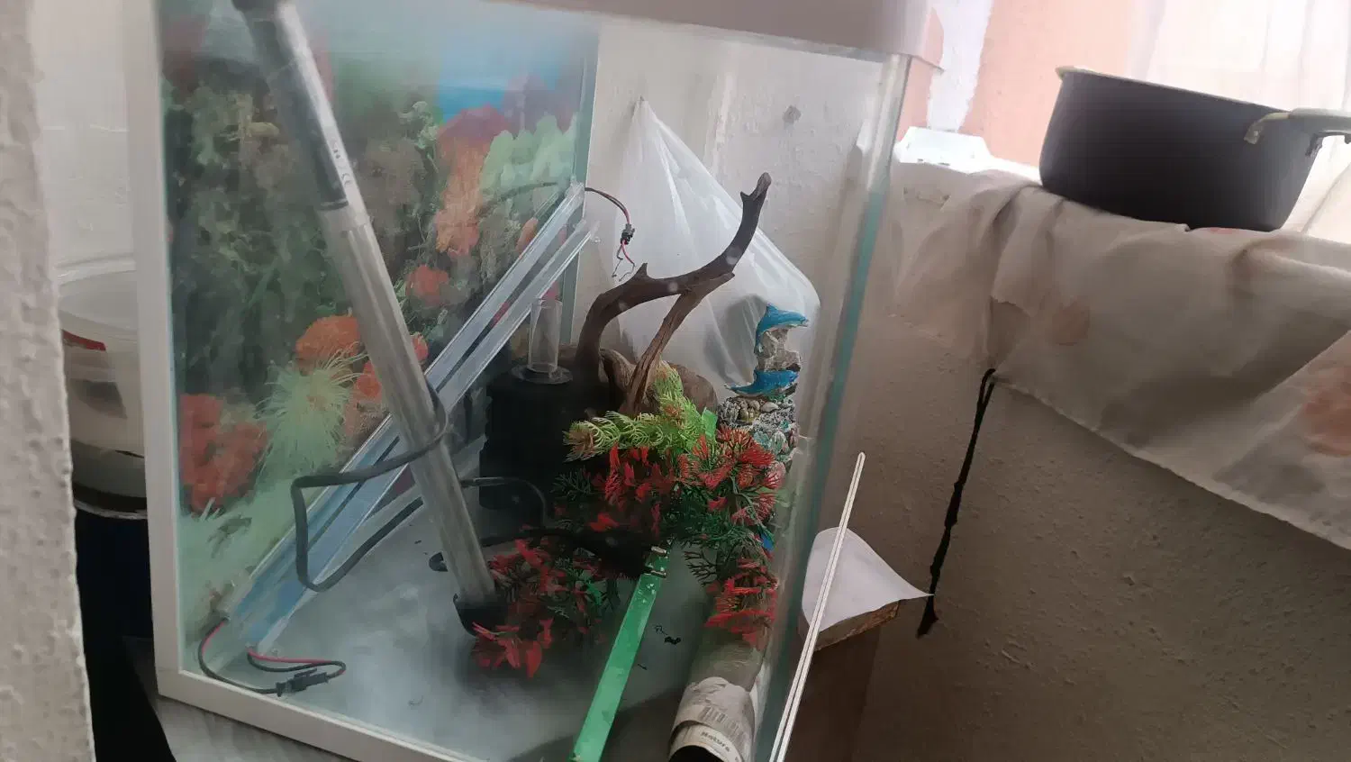 اکواریوم دور خم خیلی تمیز بدون ایراد|ماهی|سهند, |دیوار