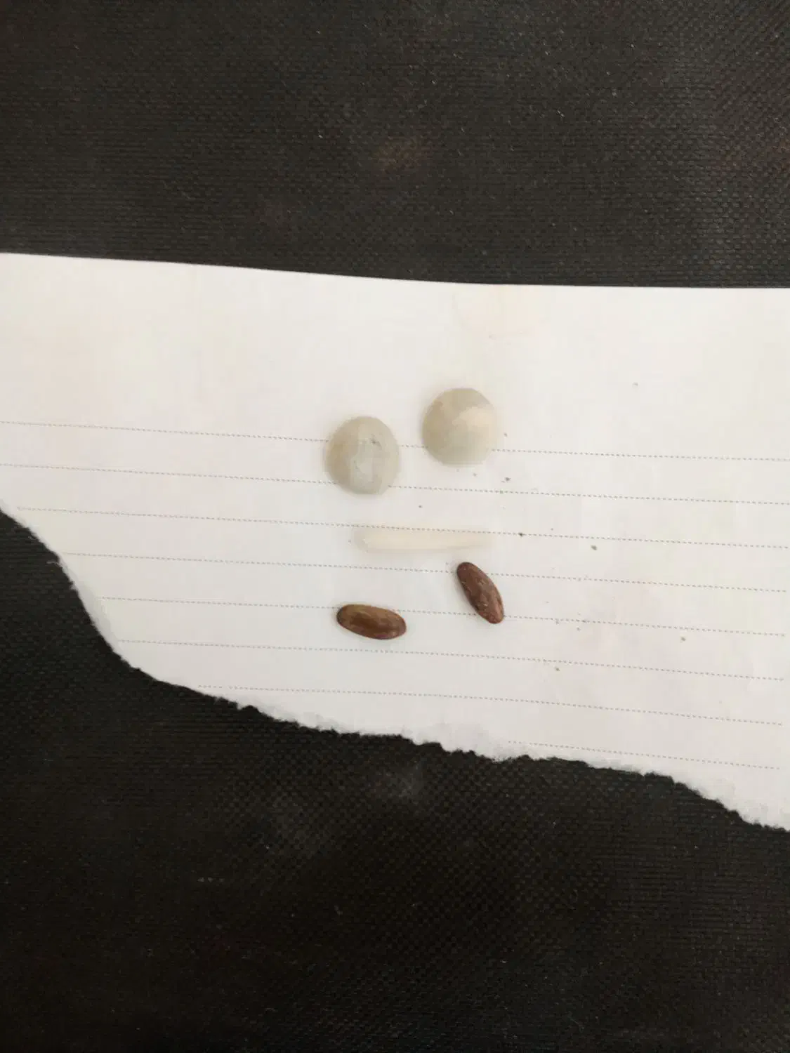 فروش سنگهای قیمتی|جواهرات|مرودشت, فاز دوم شهرک فرهنگیان|دیوار