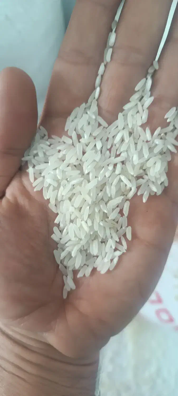 برنج دانه کوتاه پاکستانی|خوردنی و آشامیدنی|تهران, جوادیه|دیوار