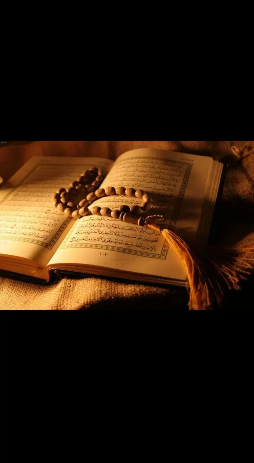 کتاب|کتاب و مجله مذهبی|شیراز, زند|دیوار