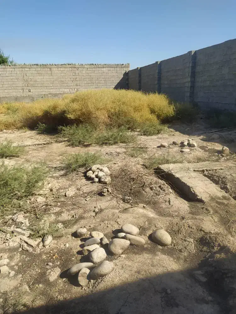 فروش750متر زمین آبادی داوود/ کد آگهی 11008 / nikan|فروش دفتر صنعتی، کشاورزی، تجاری|شوش, |دیوار