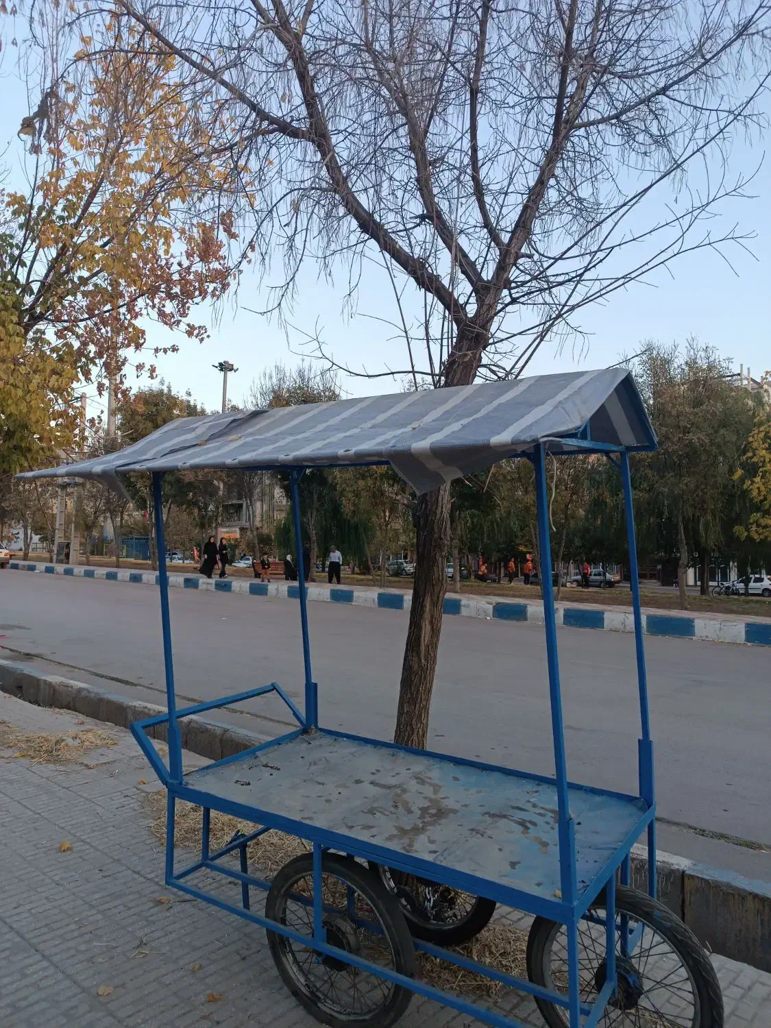 چرخ میوه فروشی|فروشگاه و مغازه|جوانرود, |دیوار