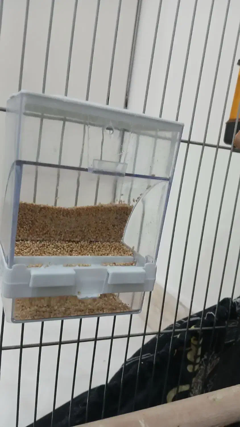 جادونی مکانیزه|لوازم جانبی حیوانات|ری, حمزهآباد|دیوار