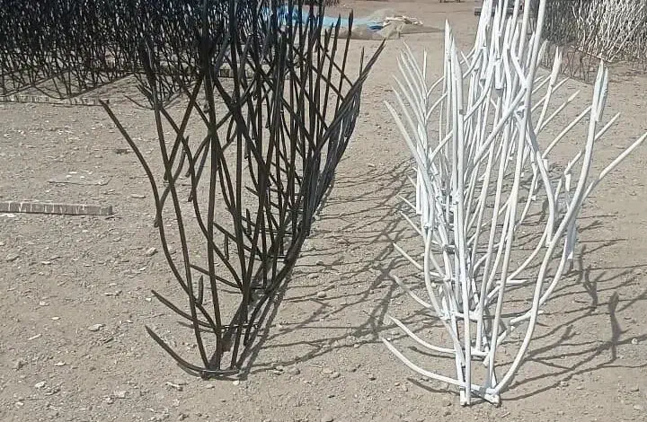 شاخ گوزنی|مصالح و تجهیزات ساختمان|گالیکش, |دیوار