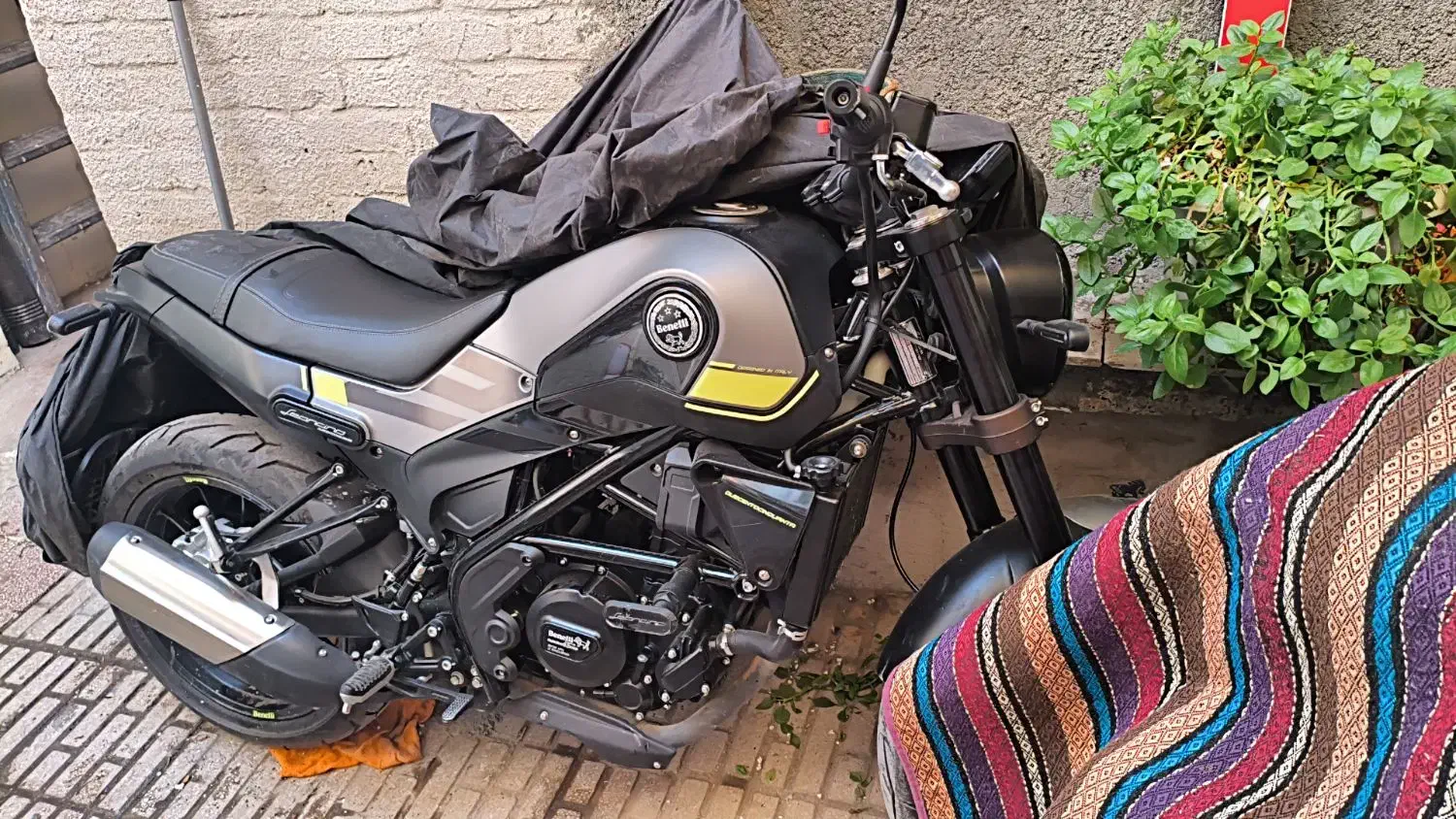 بنلی لئوچینو|موتورسیکلت|کرمانشاه, |دیوار