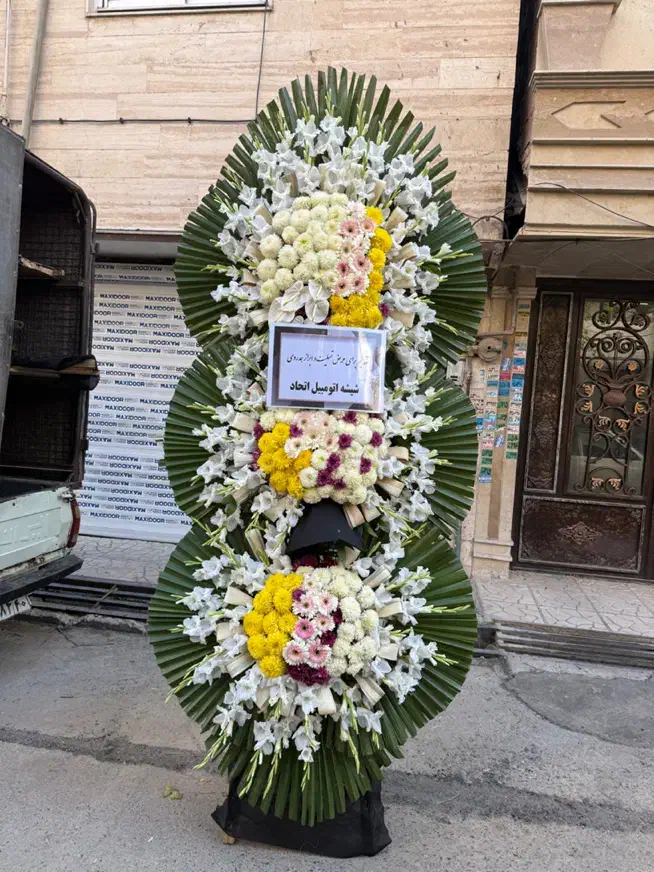 گل ختمی|گل و گیاه طبیعی|تهران, شهرک محلاتی|دیوار