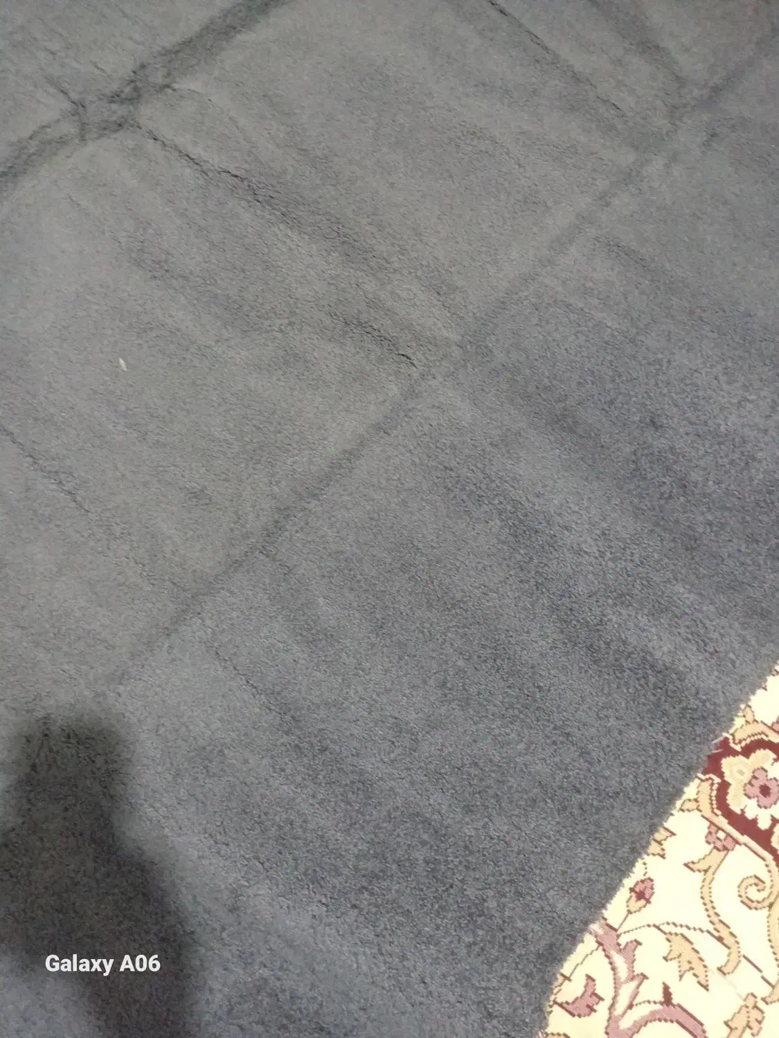 پالازموکت|موکت|اردبیل, |دیوار