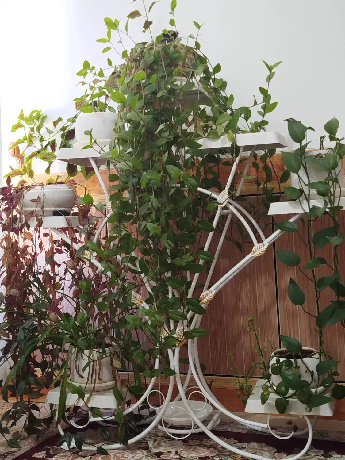 استند گلدان فلزی|صنایع دستی و سایر لوازم تزئینی|دره شهر, |دیوار