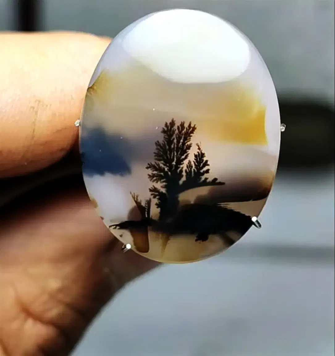 شجر کلکسیونی|جواهرات|تهران, جوادیه|دیوار