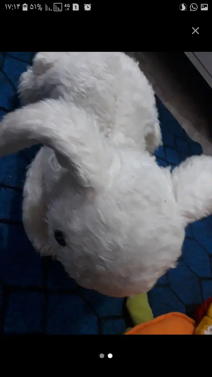 عروسکهاسالم ونوهمشون فقط۵۰هزارتومان|اسباب‌بازی بچه|بندر ماهشهر, |دیوار