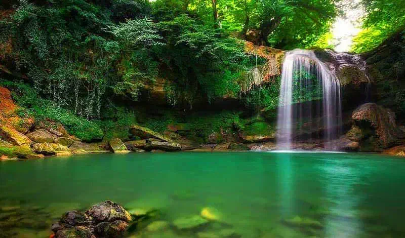 یک ساعت آب در دشت علی آباد|خدمات باغبانی و درختکاری|بیرجند, |دیوار