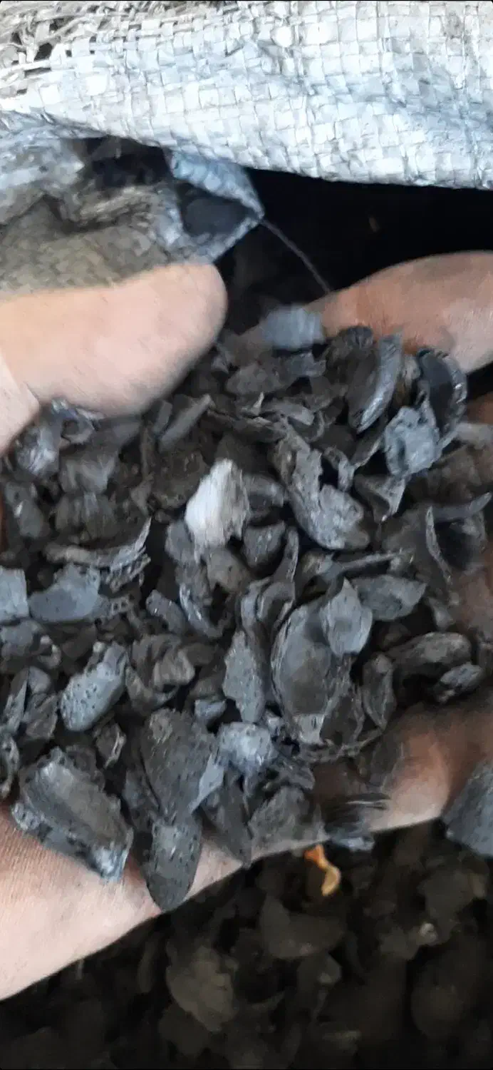 پوست پوسته بادام سنگی|خوردنی و آشامیدنی|شاهینشهر, مورچه خورت|دیوار