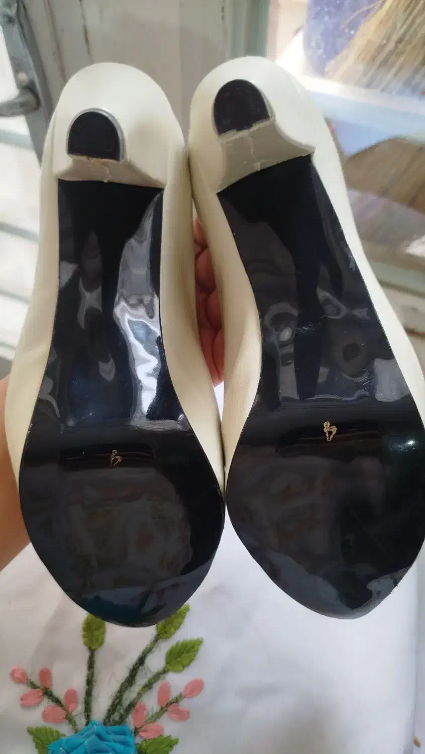 کفش مجلسی|کیف، کفش، کمربند|کاشان, سوریجان|دیوار