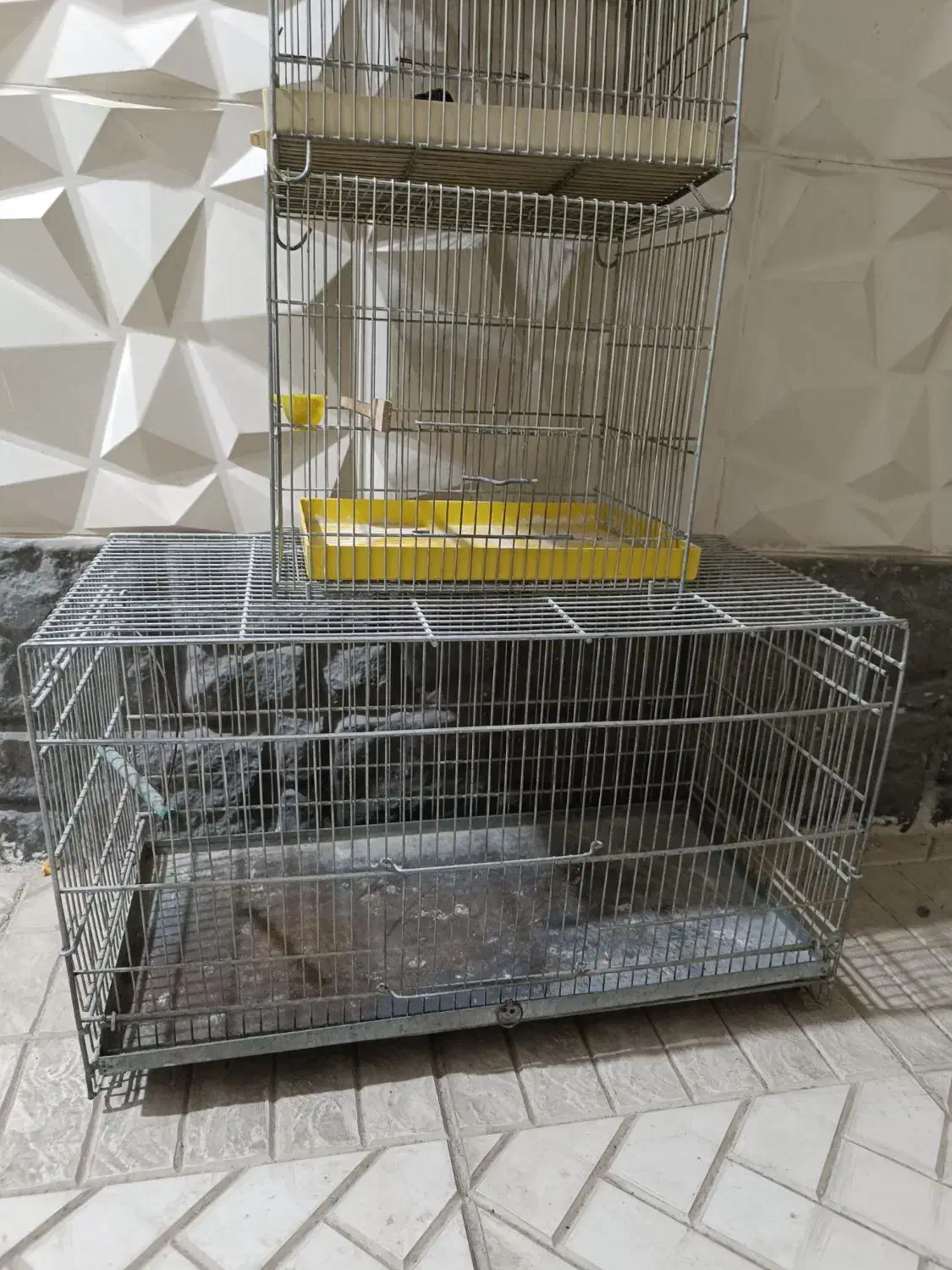 5تا قفس پرنده|لوازم جانبی حیوانات|جاجرود, |دیوار