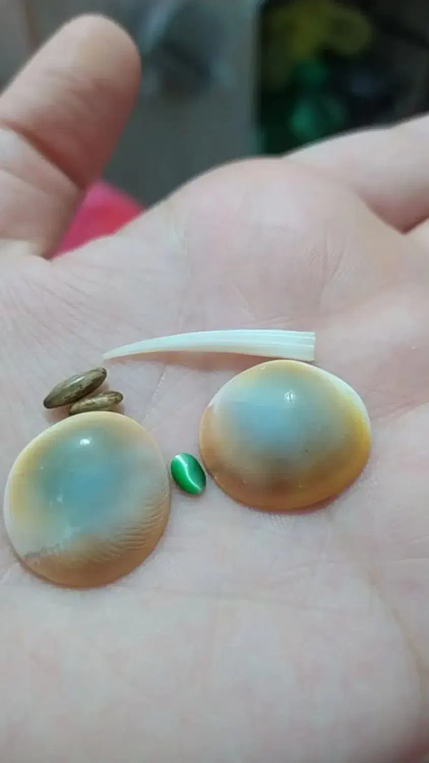 مهره|کلکسیون اشیاء عتیقه|پردیس, فاز ۱۱|دیوار