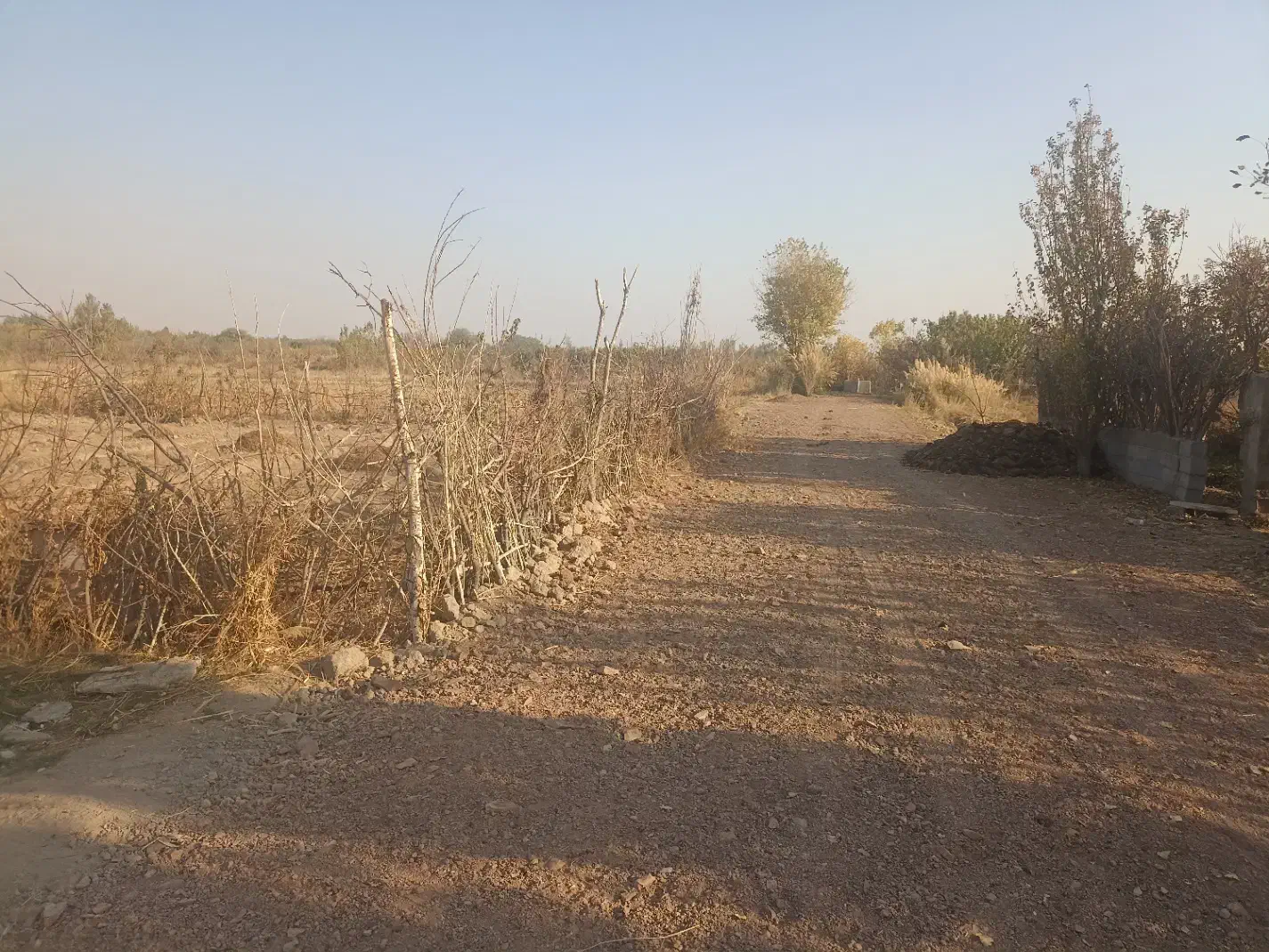 فروش باغچه در پیشک دو ماهدشت|فروش زمین و ملک کلنگی|ماهدشت, |دیوار