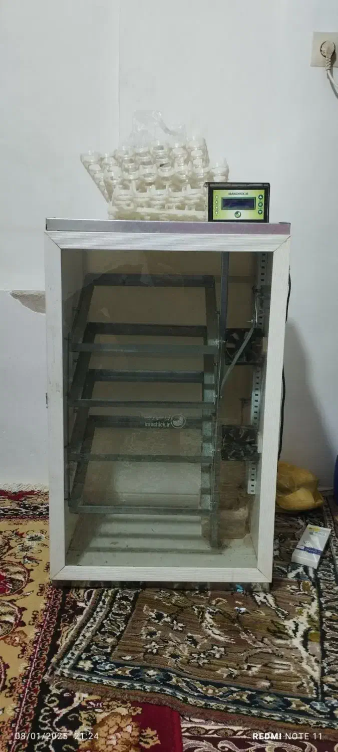 دستگاه جوجه کشی|لوازم جانبی حیوانات|گرگان, |دیوار