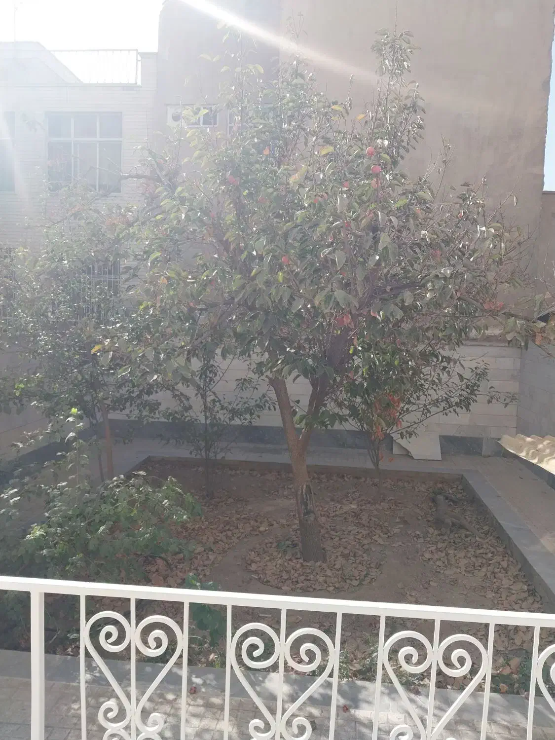 بالای اتریش حیاط دار