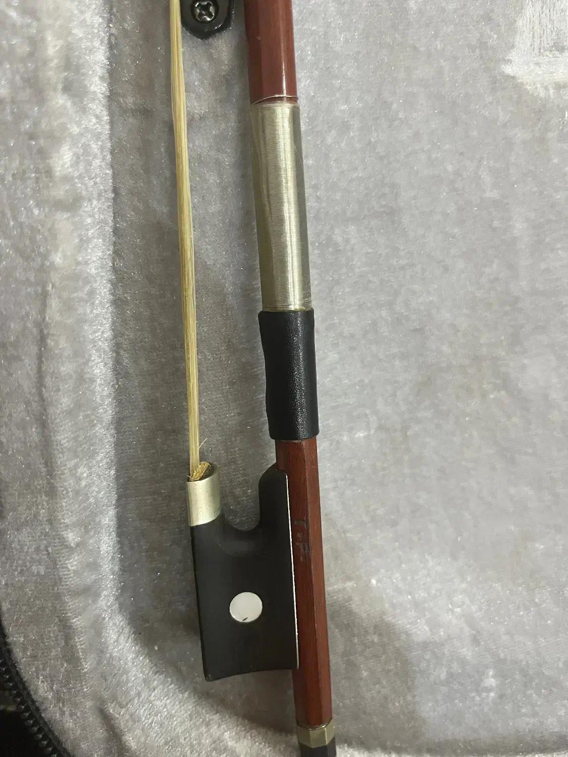 ویالون|ویولن|همدان, |دیوار