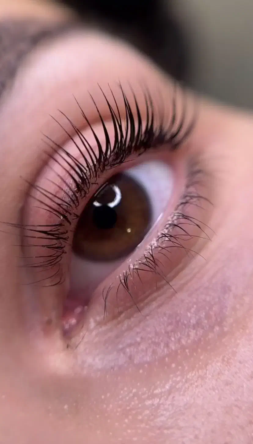 مدل لیفت مژه و ابرو|خدمات آرایشگری و زیبایی|سنندج, |دیوار