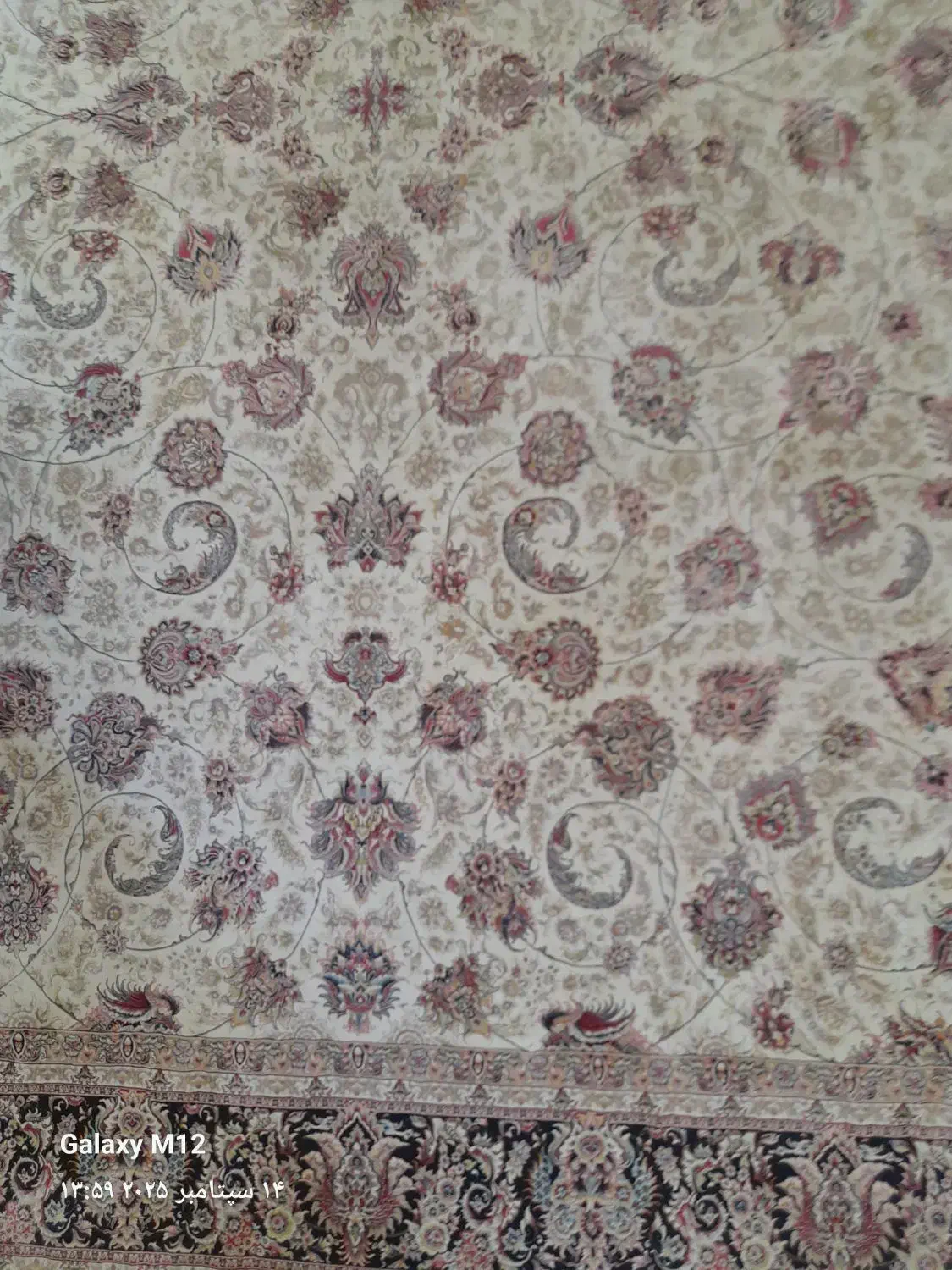 فرش ۱۲متری|فرش|تهران, دولاب|دیوار