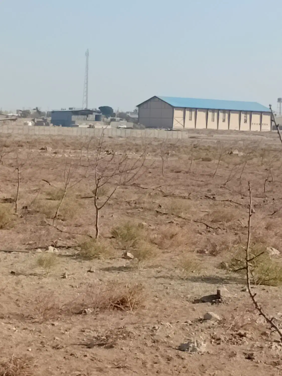 زمین مناسب باغچه و گلخانه|فروش دفتر صنعتی، کشاورزی، تجاری|صفادشت, |دیوار