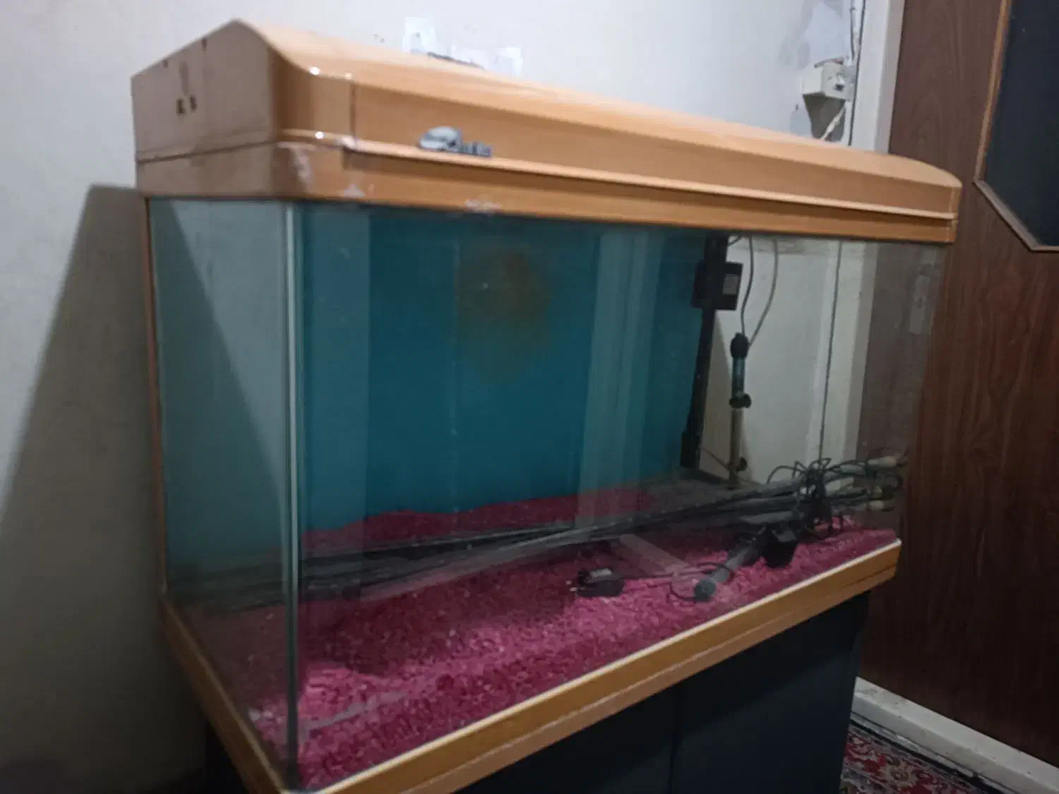 آکواریوم|ماهی|تهران, علی‌آباد|دیوار