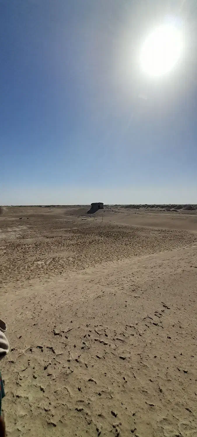 مزرعه پرورش میگو|فروش دفتر صنعتی، کشاورزی، تجاری|تخت, |دیوار