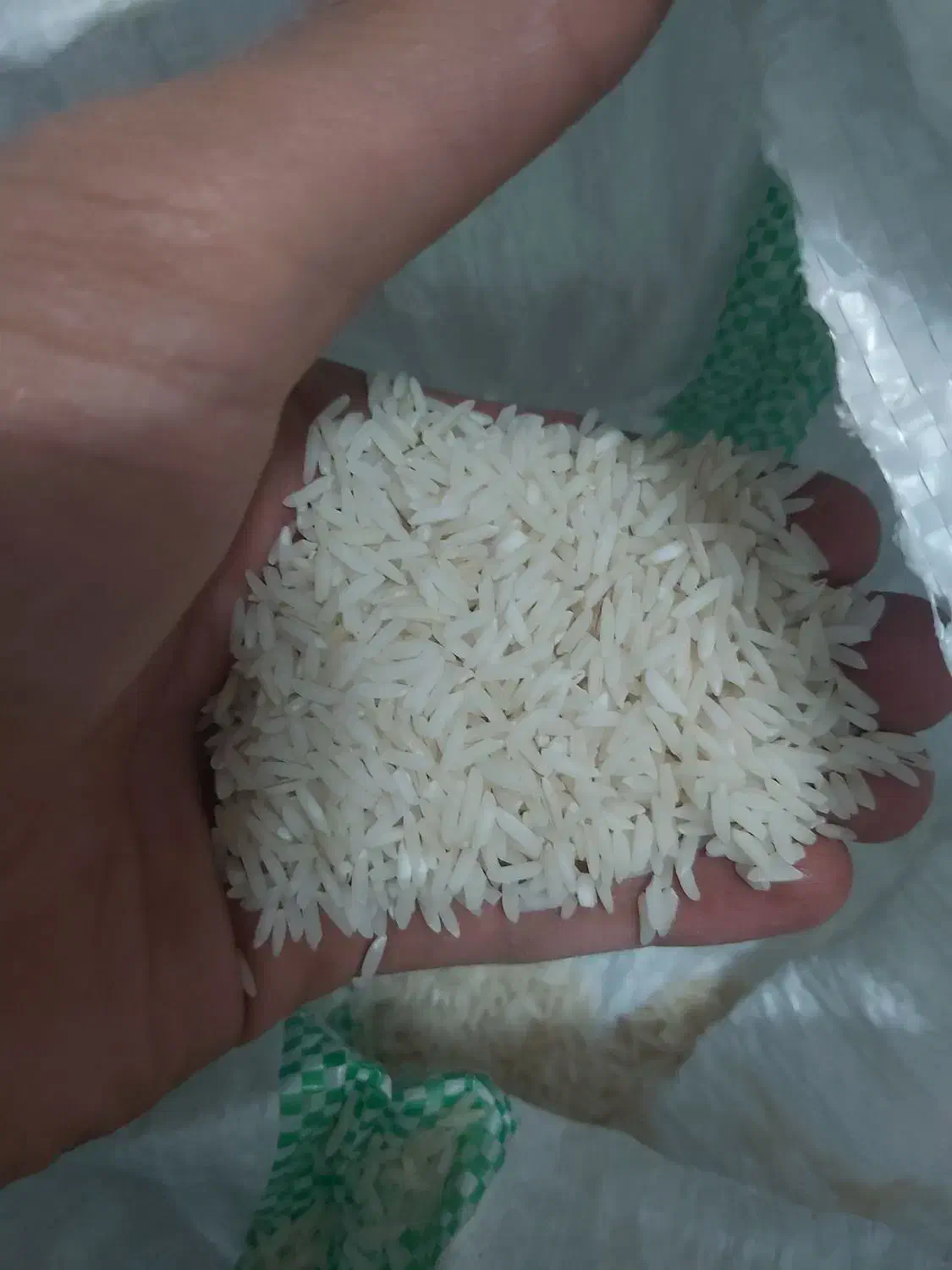 برنج هاشمی اعلا|خوردنی و آشامیدنی|رشت, حمیدیان|دیوار