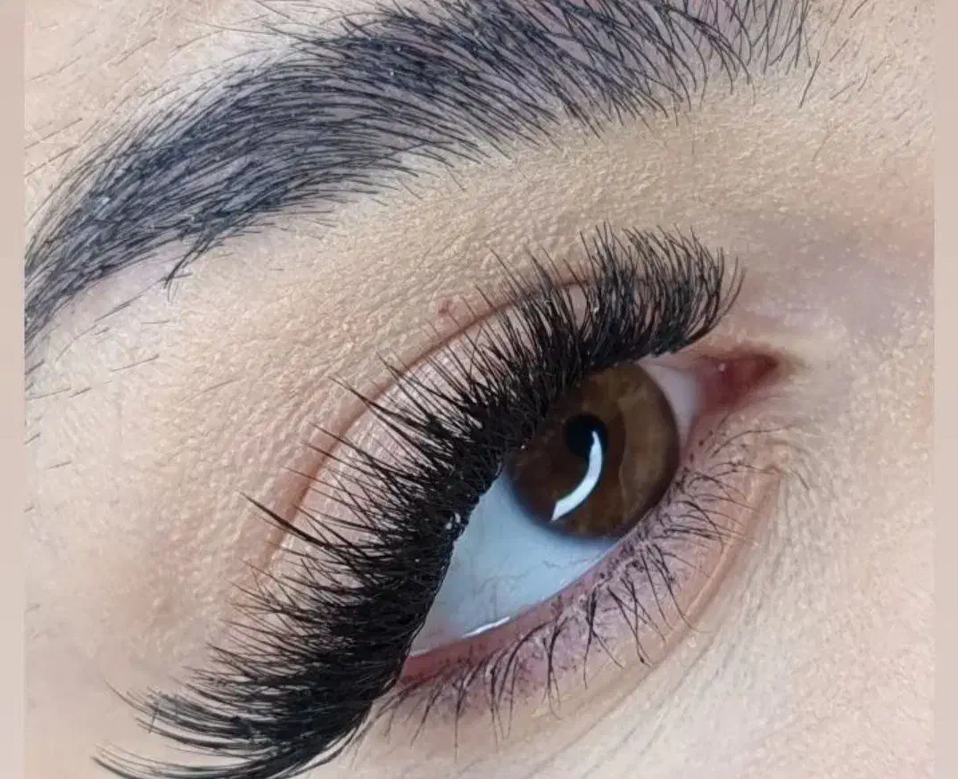 مدل مژه|خدمات آرایشگری و زیبایی|ایلام, |دیوار