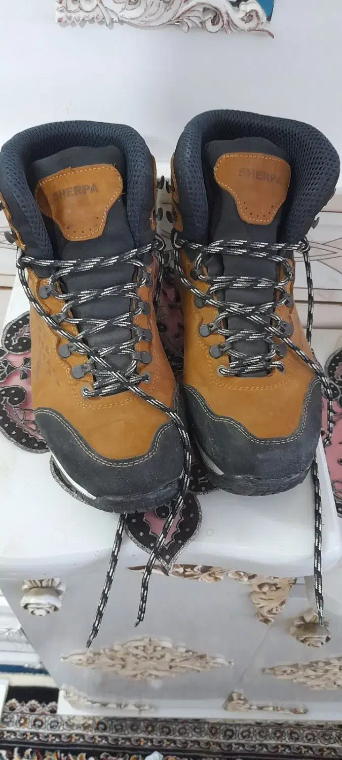 کفش شرپا|کیف، کفش، کمربند|دامغان, |دیوار