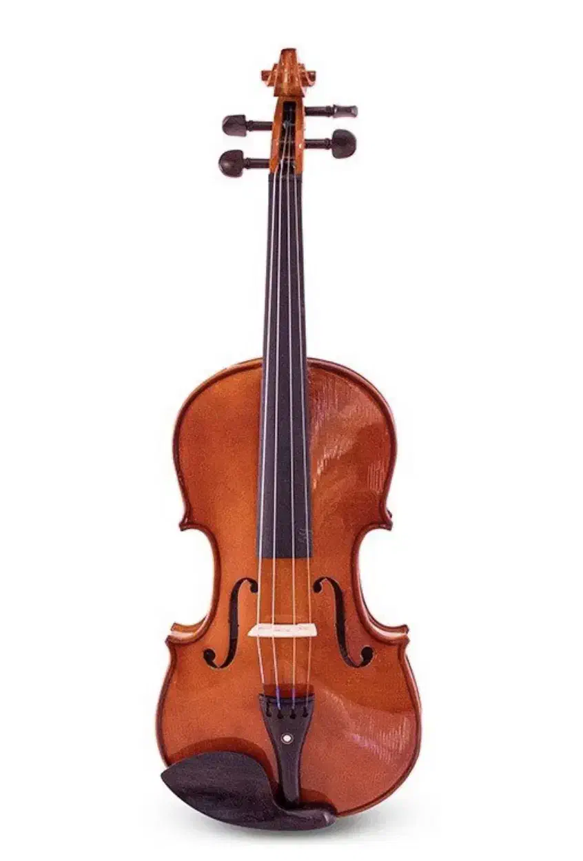 ویولن|ویولن|پاکدشت, پاکدشت (مامازند)|دیوار