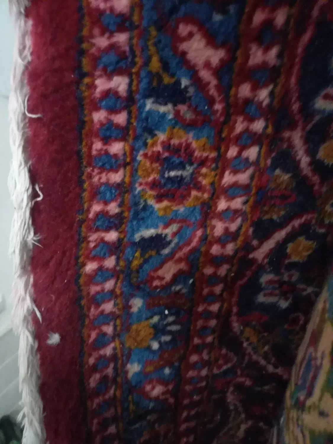 فرش دستبافت|فرش|قم, شاه ابراهیم|دیوار