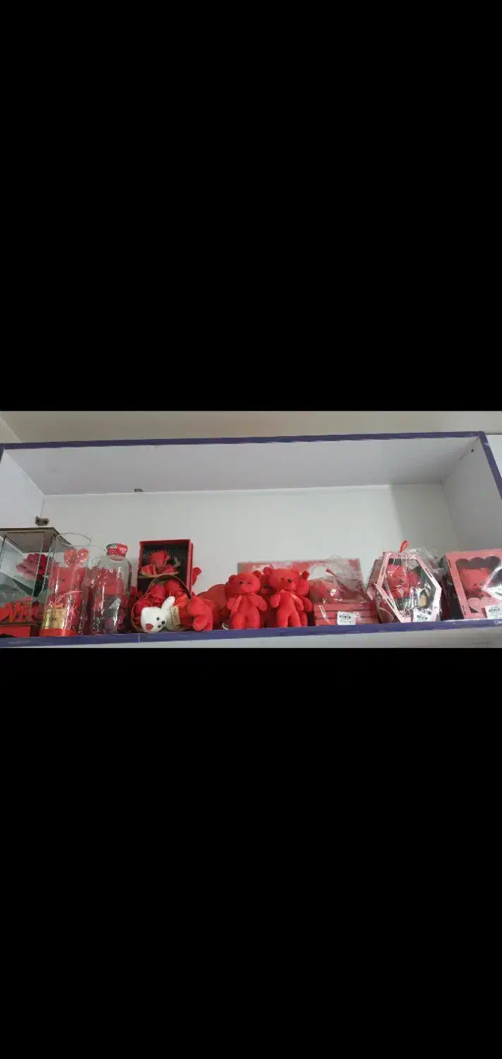 هدیه ولنتاین|صنایع دستی و سایر لوازم تزئینی|بیرجند, |دیوار