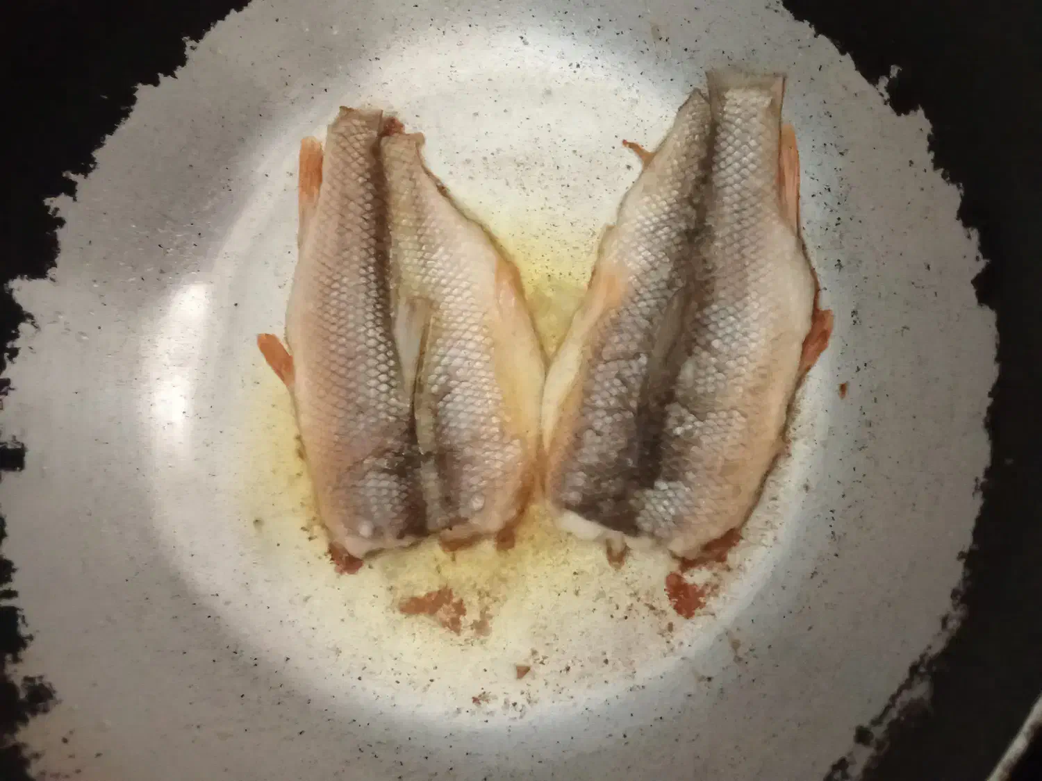 بالیخ|ماهی|میانه, |دیوار