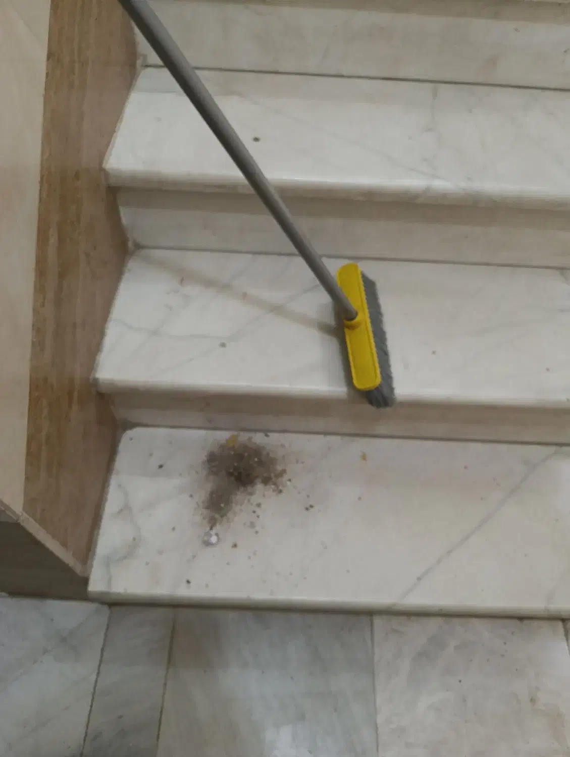 نظافت مشاعات ساختمان(پله و پیلوت)|خدمات نظافت|قزوین, |دیوار